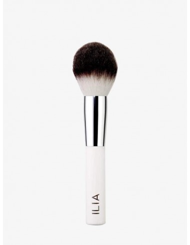 Finishing powder brush