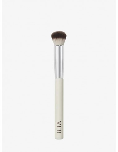 Complexion brush